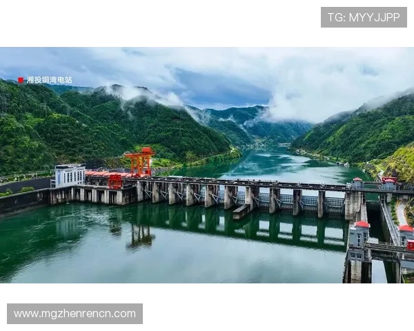 深入探讨yd云顶集团官网的企业文化与核心价值观全面介绍云顶集团的品牌理念